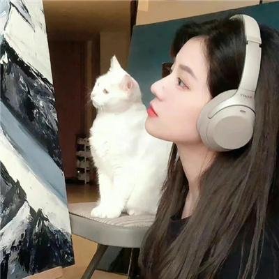 黑赦会