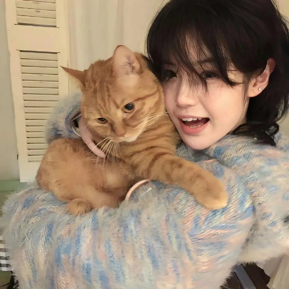 无敌猛鲨